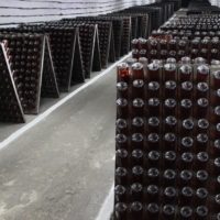 Вингные погреба Криково. Туры из Одессы.