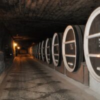 Милешты Мичь. Туры в Молдову из Одессы.