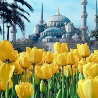 Тур в Стамбул. Фестиваль тюльпанов. Тур из Одессы