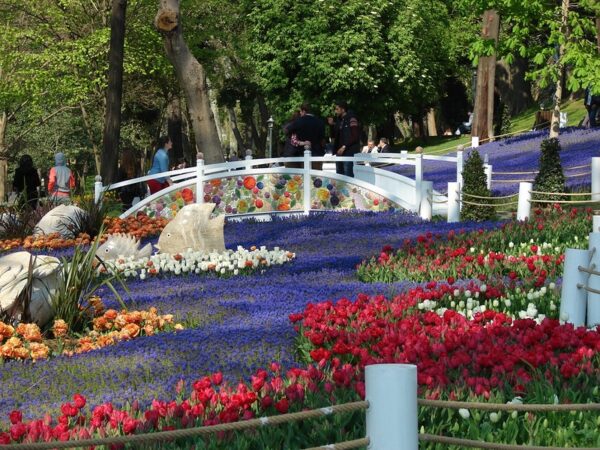 Тур до Стамбула. Фестиваль тюльпанів. Тур з Одеси